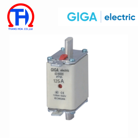 Cầu chì ngắn mạch dòng cao GG-NH00S-125A Giga Electric