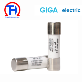 CẦU CHÌ GG18-20A Giga Electric 