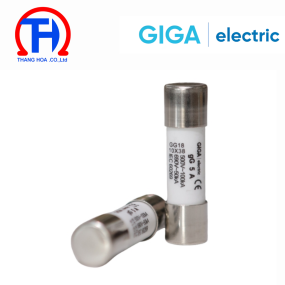 CẦU CHÌ GG18-5A Giga Electric 